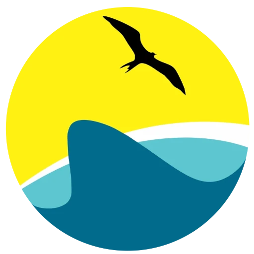 whale shark excursions mexico